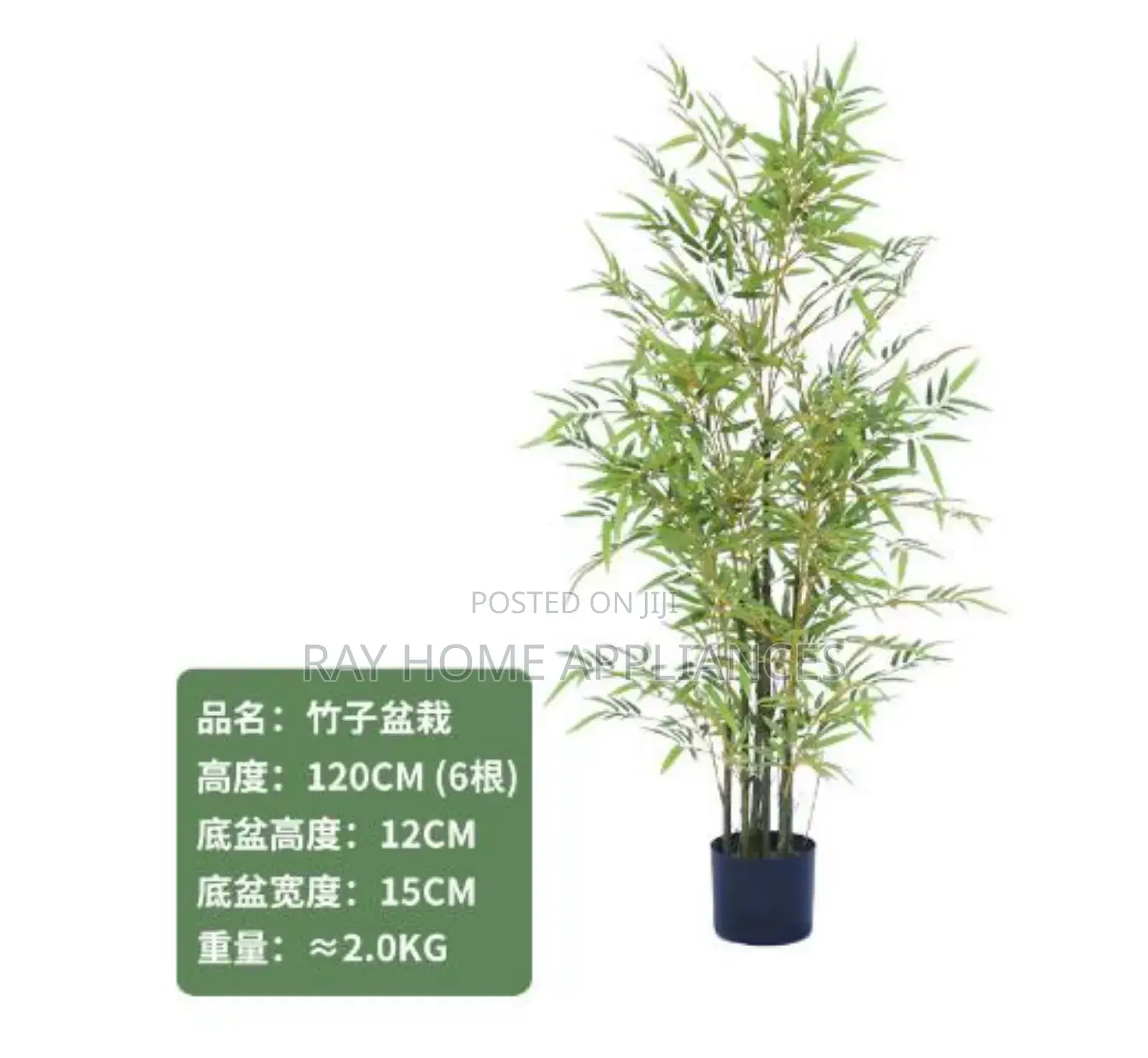 High Quality Potted House Tree Size 120cms Equivalent to 4ft