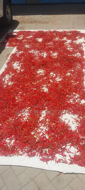 Bird Eye Dry Chilli (Abe)