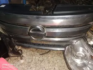 Grill Serena 2012 Front