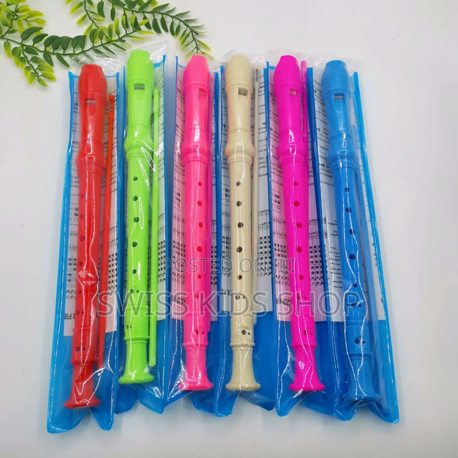 Desiccant Recorder / Flute for CBC