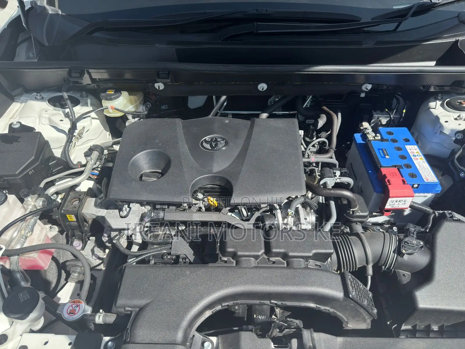Toyota RAV4 2019 White