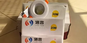 Elegant 30watts Cob Downlighter Y6t