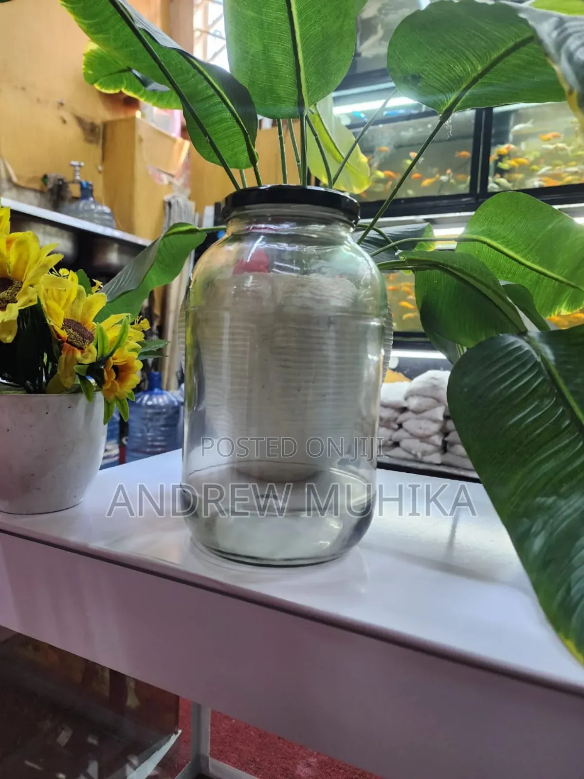 Glass Jars