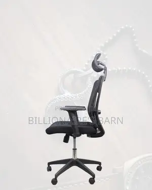 Adjustable Headrest Work Chair for Office • Nylon Base Stability