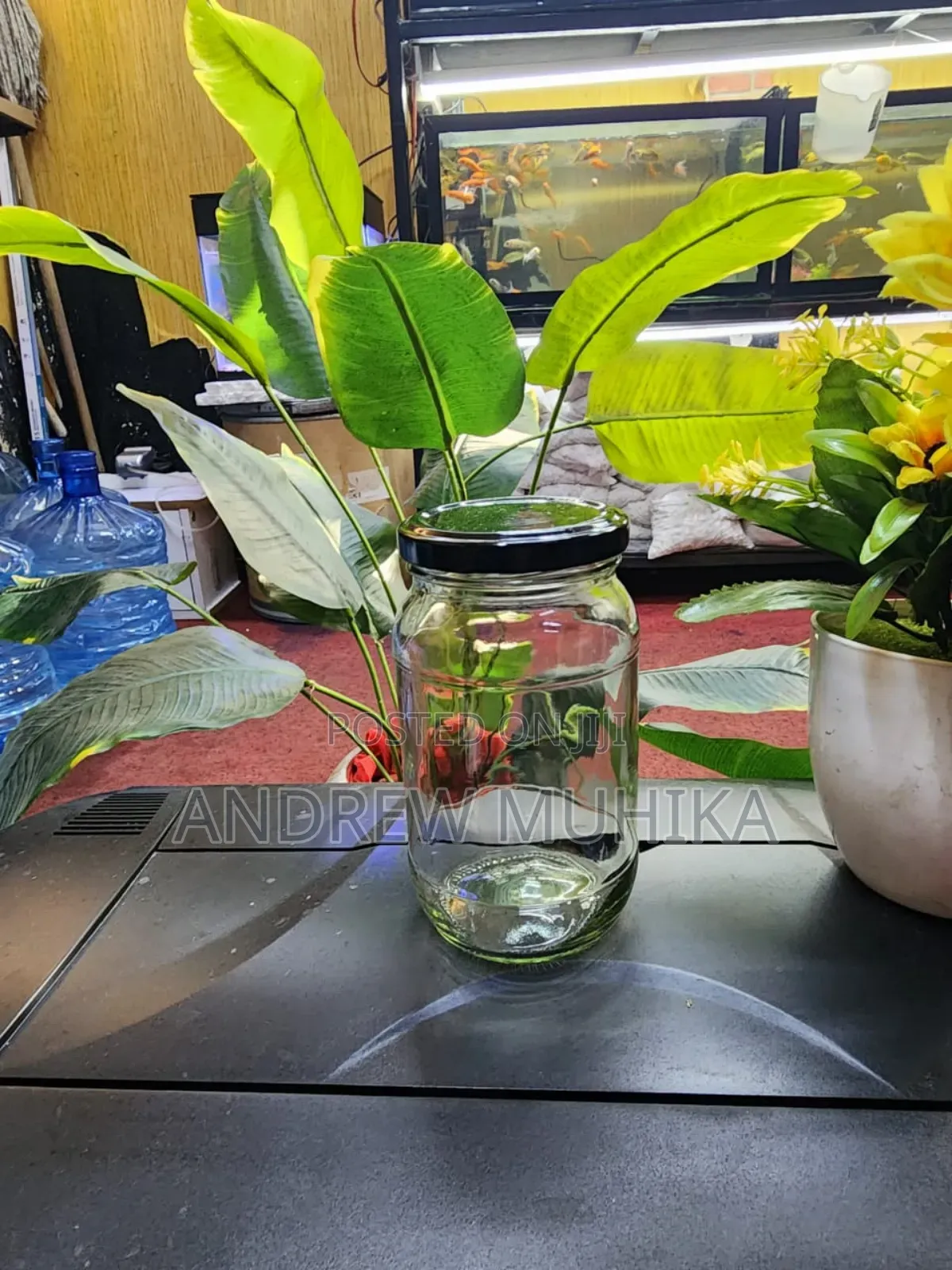 Glass Jars
