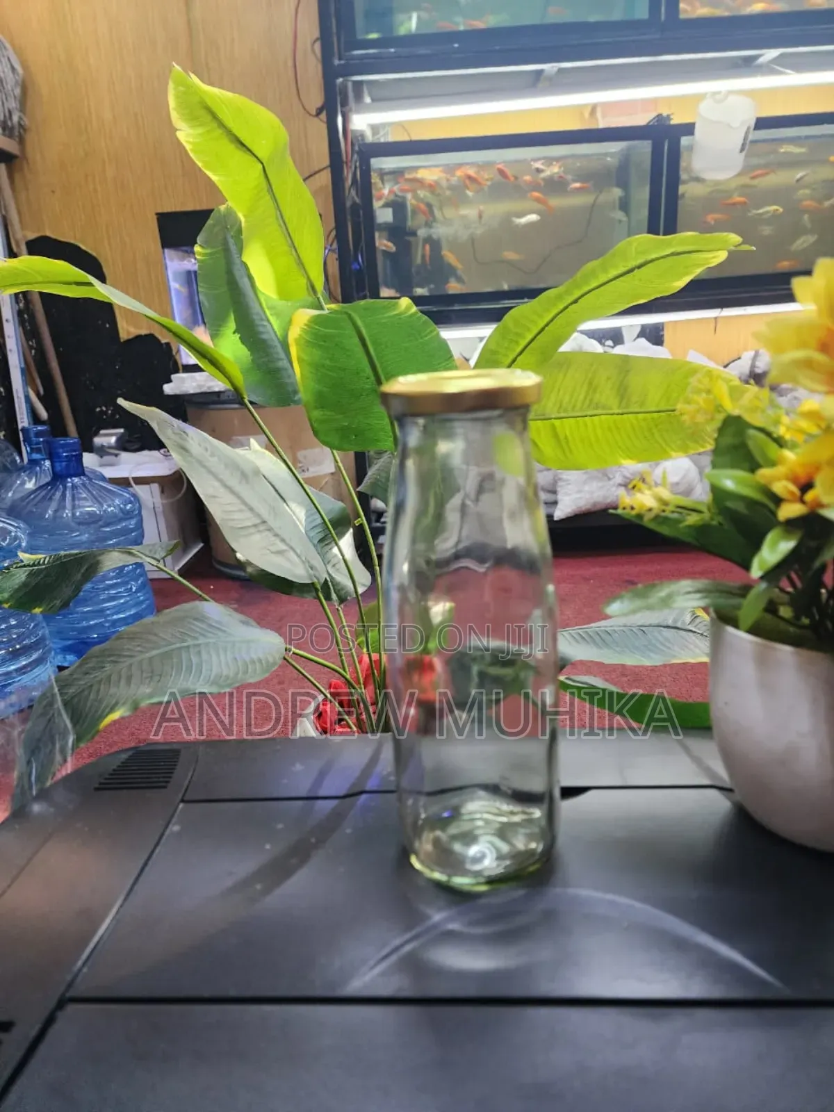 Glass Jars
