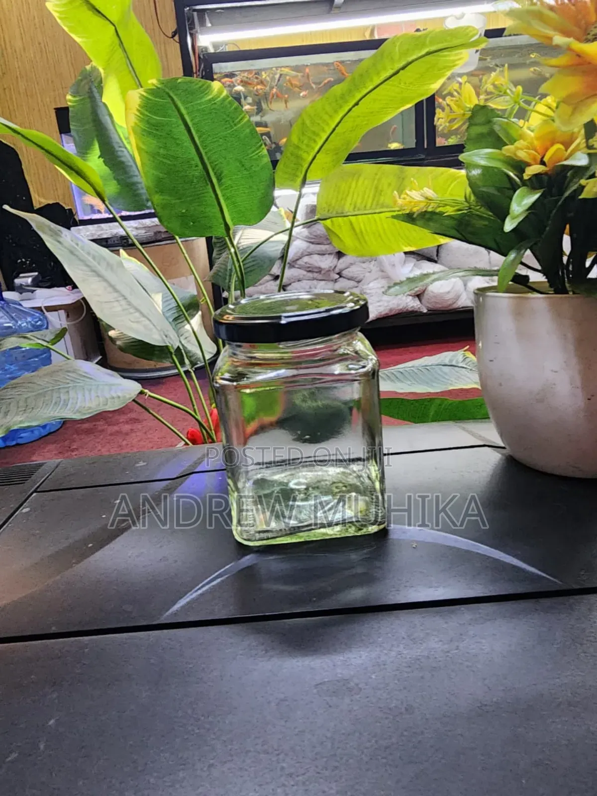 Glass Jars