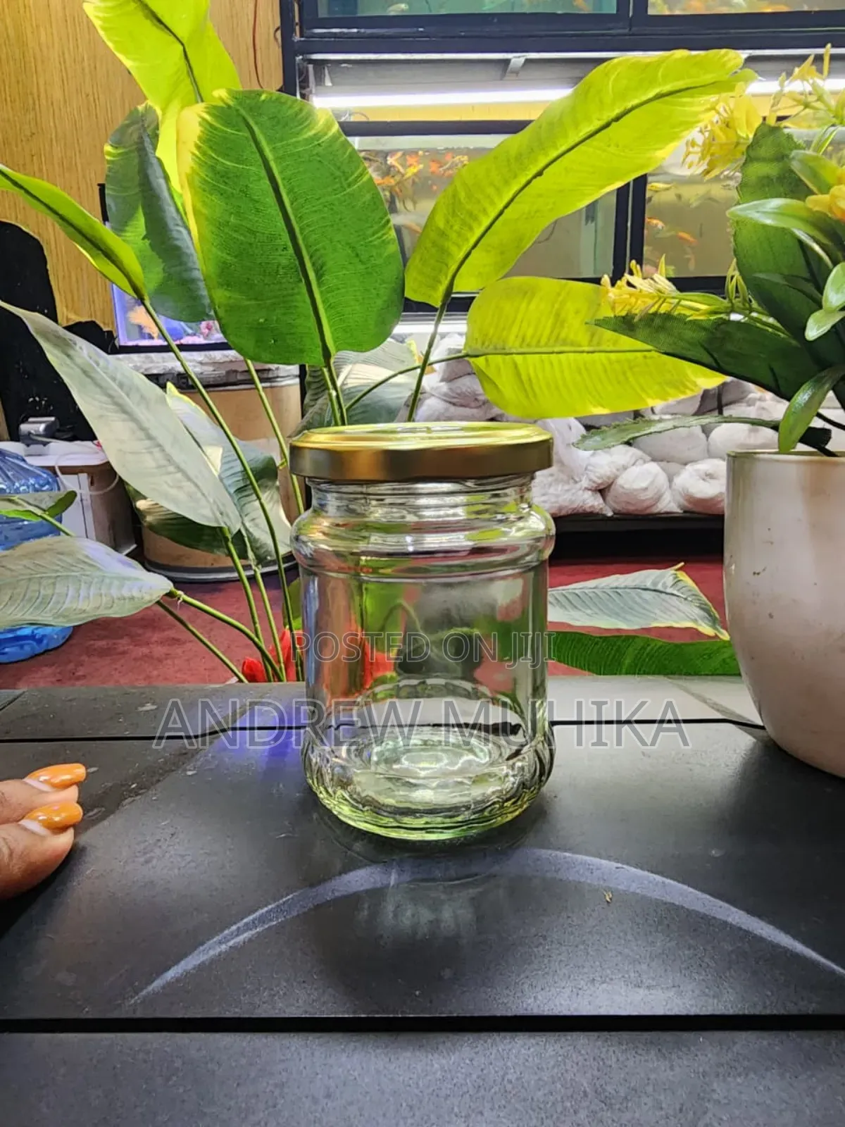 Glass Jars