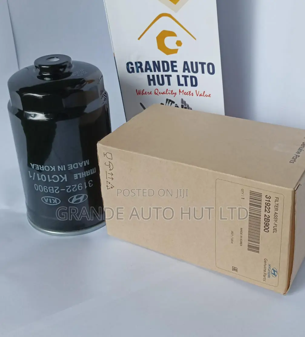Filter Fuel Hyundai Santafe Genuine