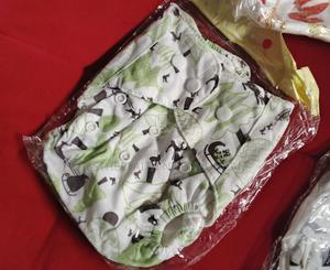 Washable Diapers/Training Pants - main view