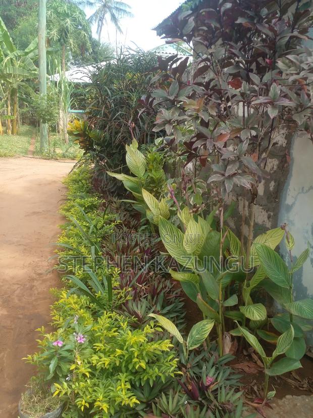 1bdrm House in Eagleways Inn, Malindi for rent - thumbnail 7
