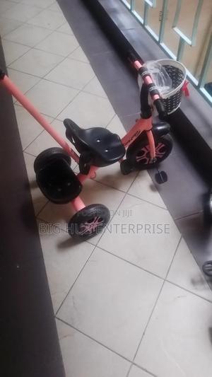Tricycle With Push Handle for Toddlers - main view