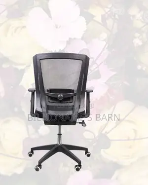 Barn Origin Office Chair Mid-Back Nylon Base • Neat Professional Look