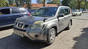 Nissan X-Trail 2.0 Petrol XE 2012 Gray