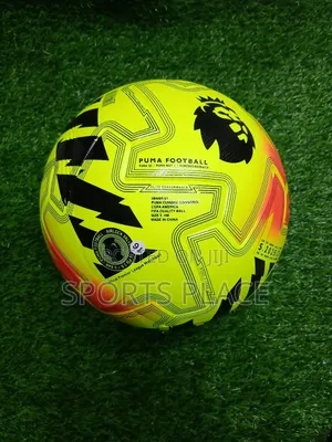 2025/26 Premier League Winter Ball