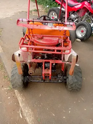 Kary-Go 2014 Orange