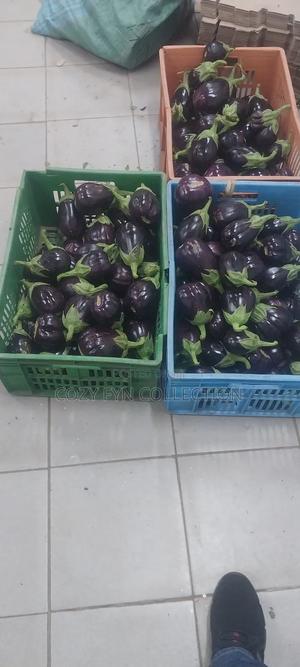 Aubergine Eggplant - main view