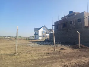 Kamakis 50x100 Prime Plot