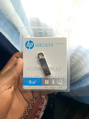 Hp Flash Disk