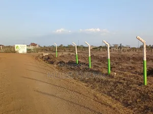 Kamakis 50x100 Prime Plot
