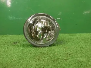 Toyota Caldina Old Dog Lights