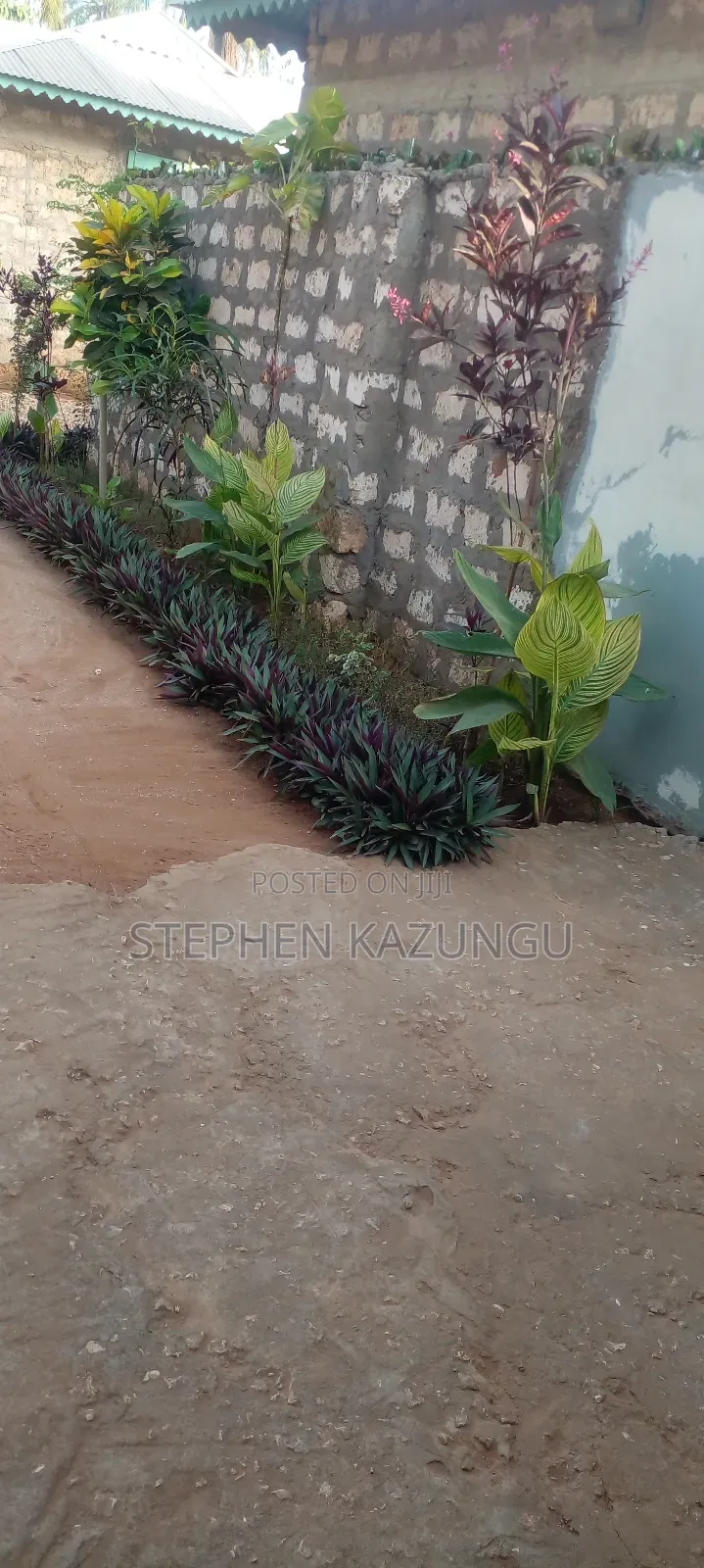 1bdrm House in Eagleways Inn for rent