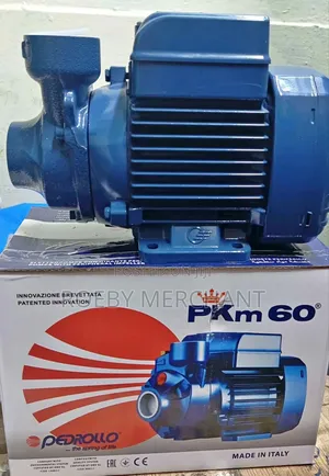 Pkm60 Pedrollo Water Pump/0.5hp Pedrollo Booster Pump