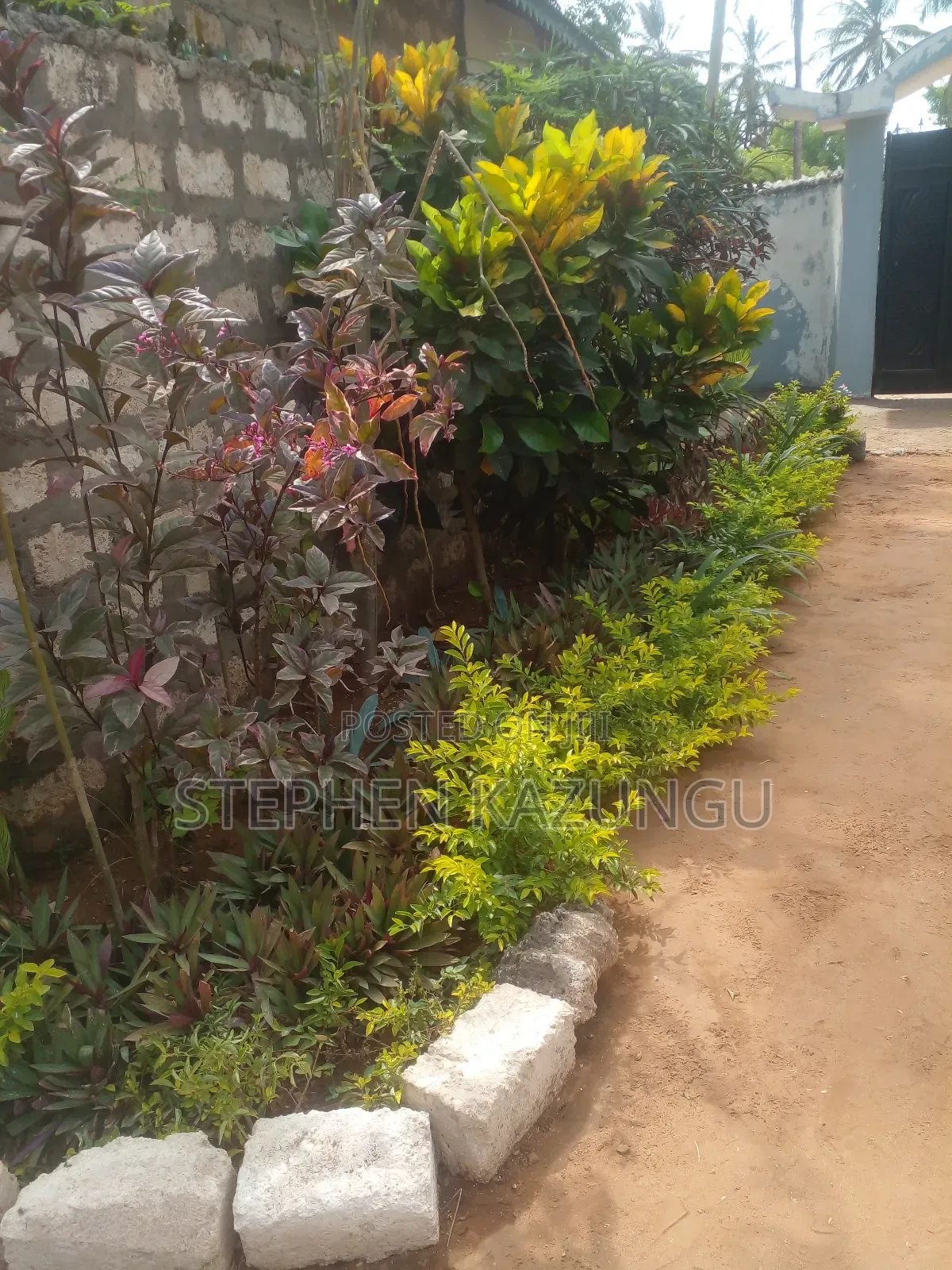1bdrm House in Eagleways Inn for rent