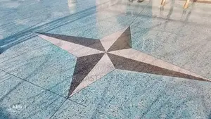 Terrazzo Floor Master 001