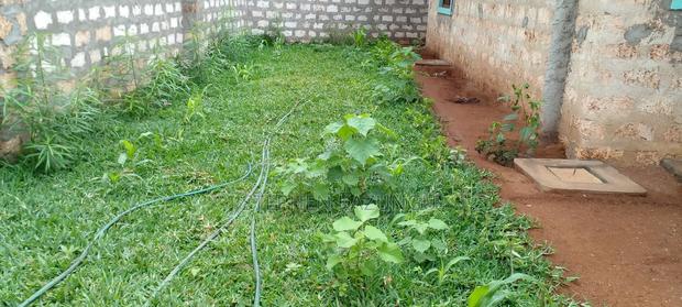 1bdrm House in Eagleways Inn for rent - thumbnail 13