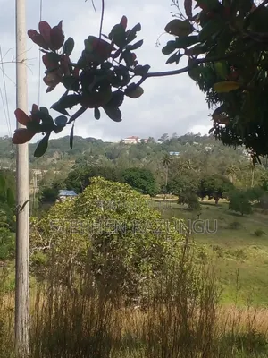 5 Acres of Land on Sale in Kwale After Tsimba Town.