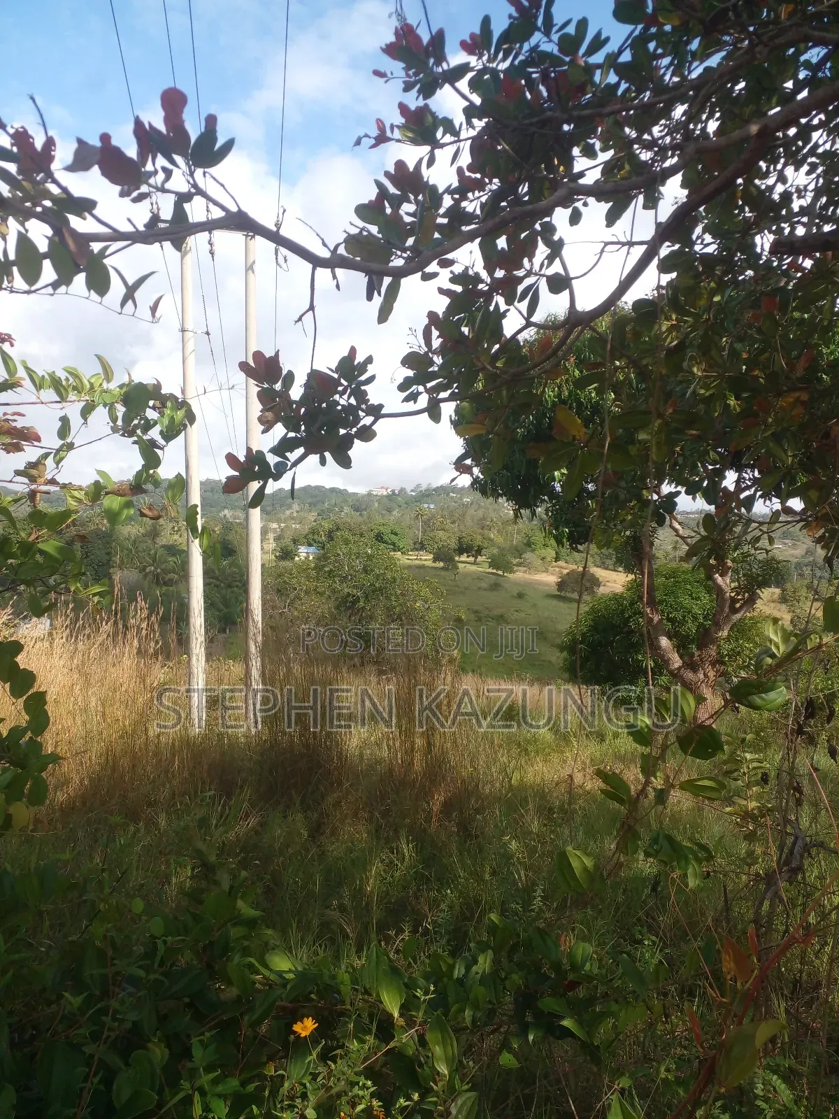 5 Acres of Land on Sale in Kwale After Tsimba Town.