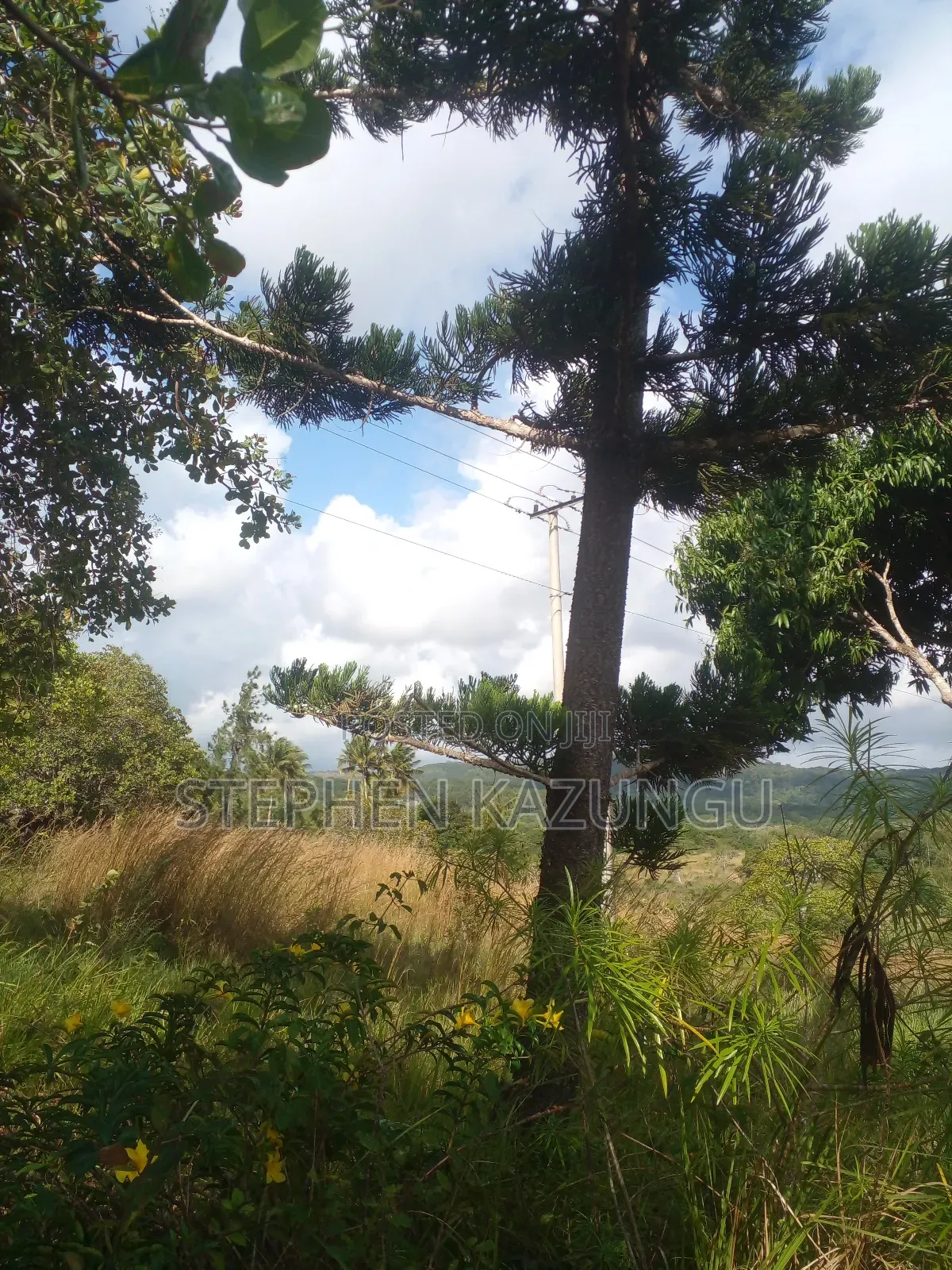5 Acres of Land on Sale in Kwale After Tsimba Town.