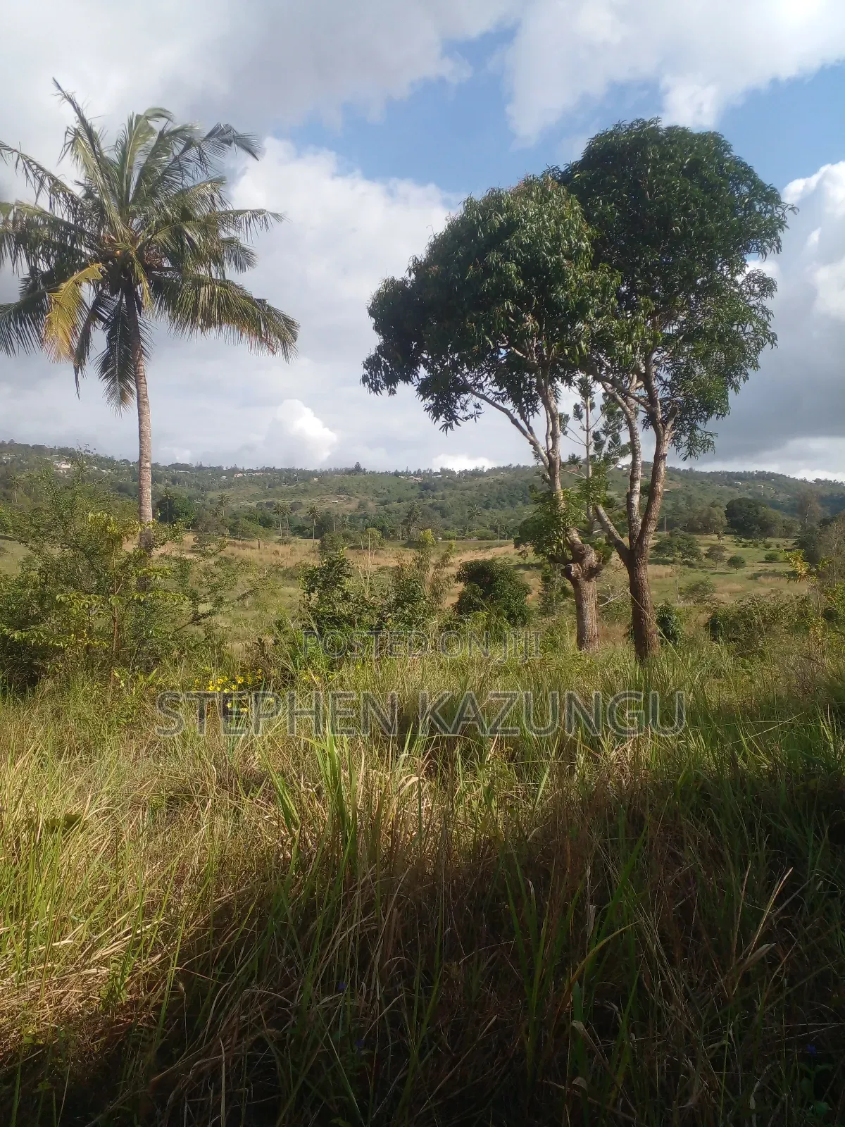 5 Acres of Land on Sale in Kwale After Tsimba Town.