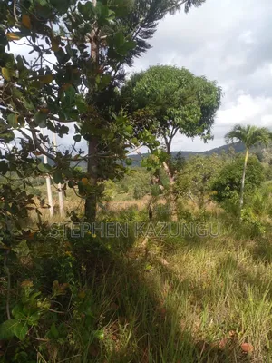 5 Acres of Land on Sale in Kwale After Tsimba Town.