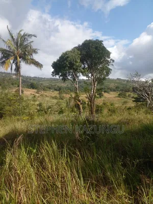 5 Acres of Land on Sale in Kwale After Tsimba Town.