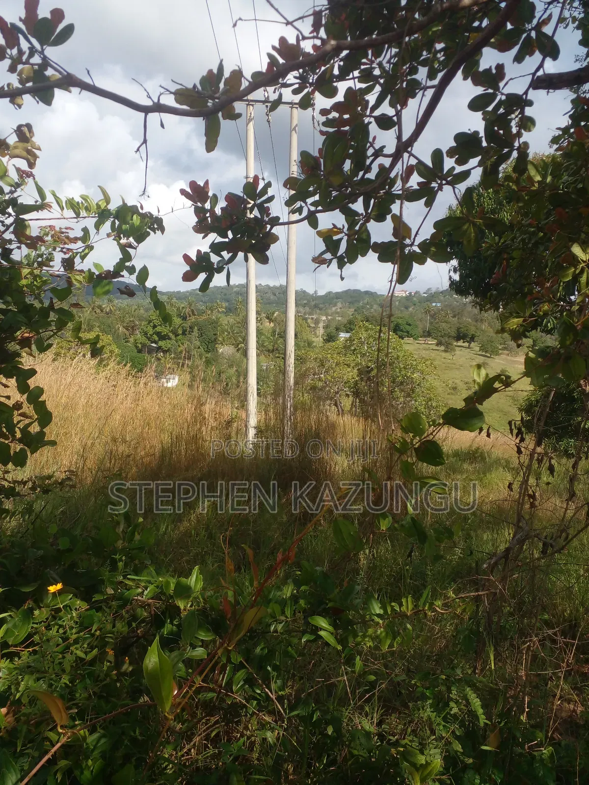 5 Acres of Land on Sale in Kwale After Tsimba Town.