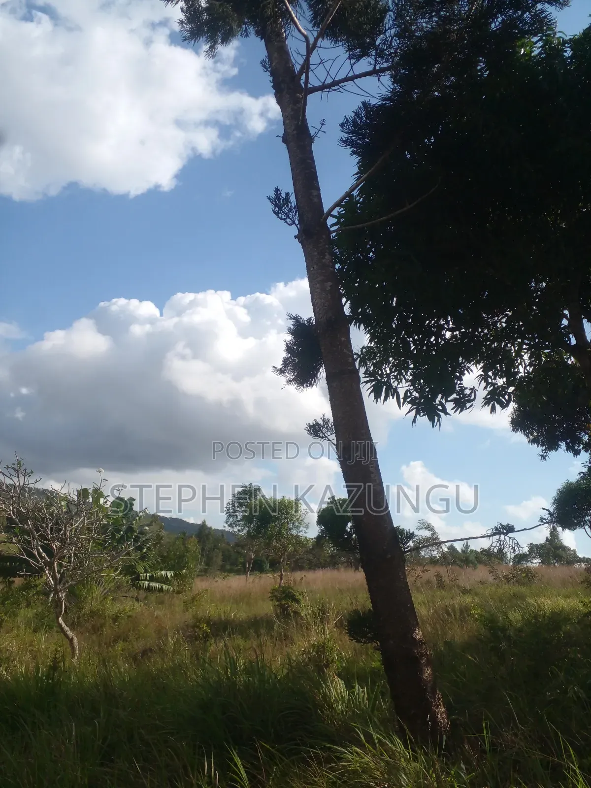 5 Acres of Land on Sale in Kwale After Tsimba Town.
