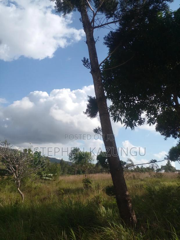 5 Acres of Land on Sale in Kwale After Tsimba Town. - thumbnail 5
