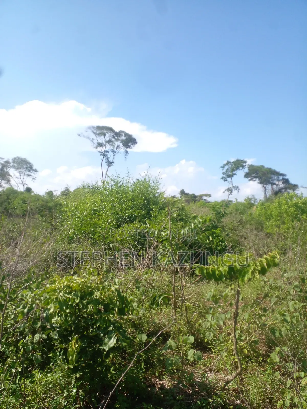 21 Acres of Land Near to River Galana, in Singwaya.