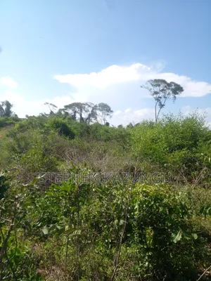 21 Acres of Land Near to River Galana, in Singwaya.