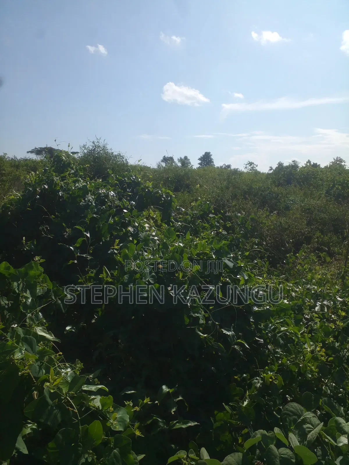 21 Acres of Land Near to River Galana, in Singwaya.