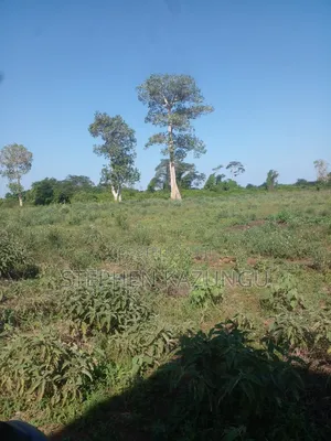 21 Acres of Land Near to River Galana, in Singwaya.