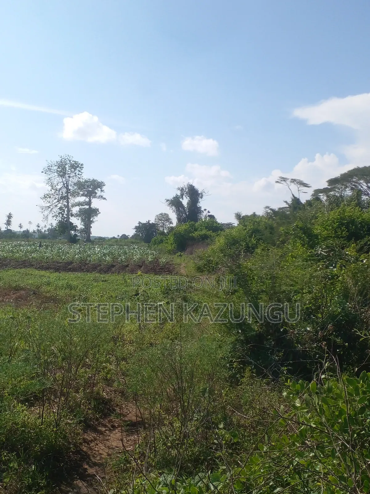 21 Acres of Land Near to River Galana, in Singwaya.