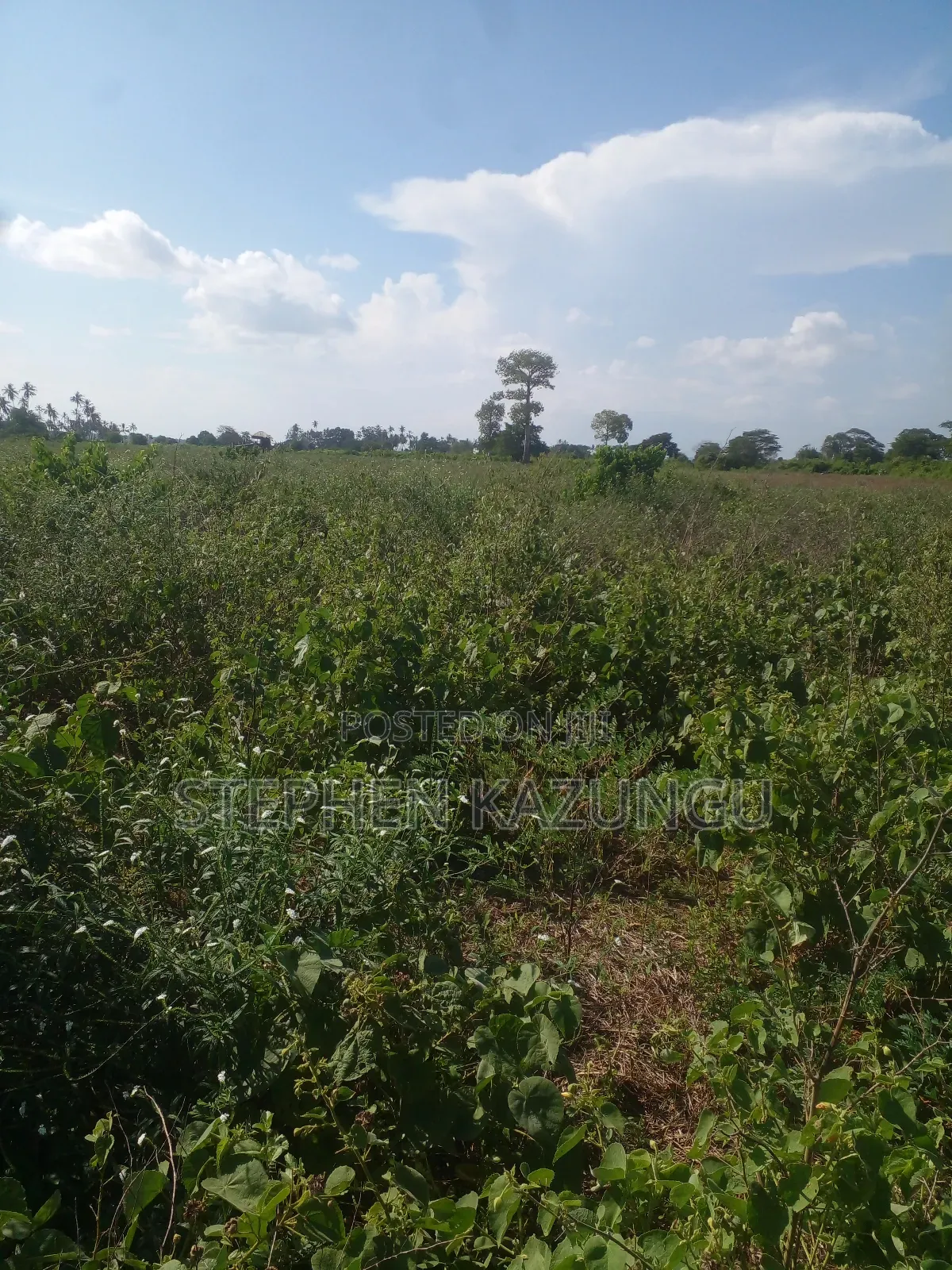 21 Acres of Land Near to River Galana, in Singwaya.