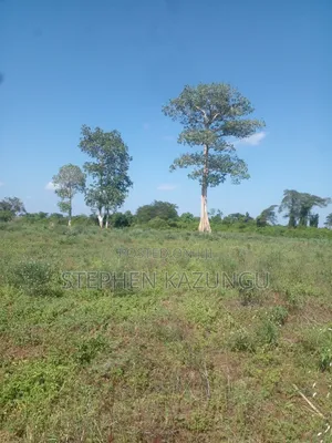21 Acres of Land Near to River Galana, in Singwaya.