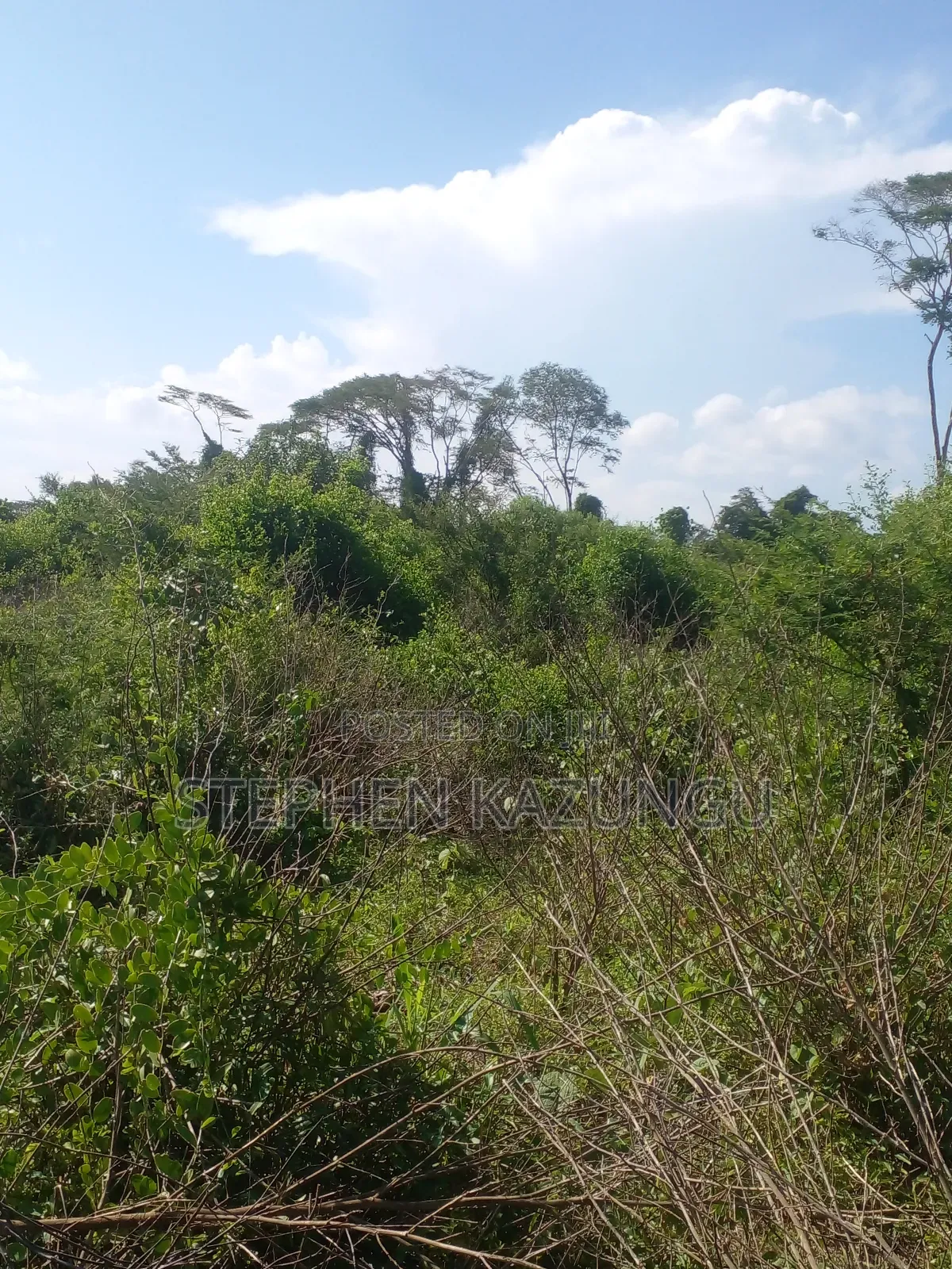 21 Acres of Land Near to River Galana, in Singwaya.
