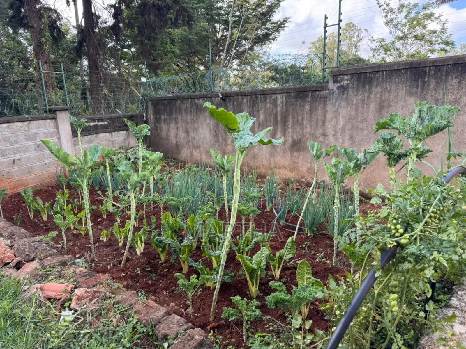4bdrm House in Kiambu Riverside for rent