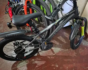 Cross Road 20 With Gear Bike