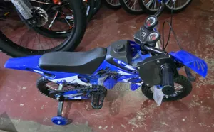 Fancy Bike/Nduthi Bike 
Size 12